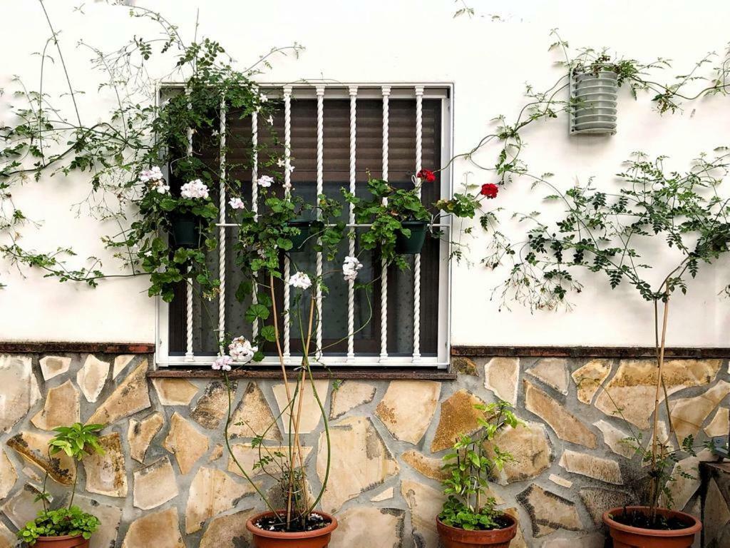 Casa Secreta Velez-Malaga Centro Apartment Exterior photo